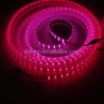 China LANDSCAPE Flexible 5M SMD led strip 5050 led rope light rgbw 12v 5050 led rope for sale