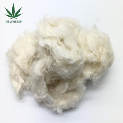 China ECO-Frendly 100% Anti-Bacteria Bleached White Natural Hemp Fiber For Hemp Spin Blend Dye Strong Durable Fibers for sale