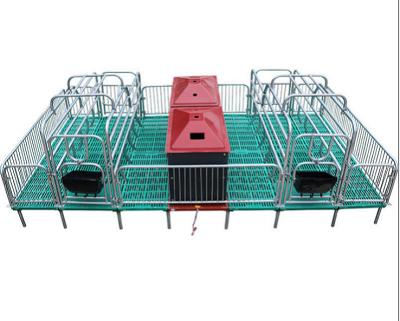 China Sow Pig Farm Equipment Farrowing Crate For Pigs for sale