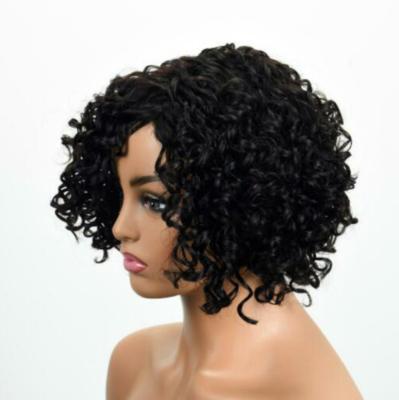 China New African Short Deep Curly Female Short Fluffy Explosive Full-Mechanism Wave Hair Small Hair Wig Set for sale