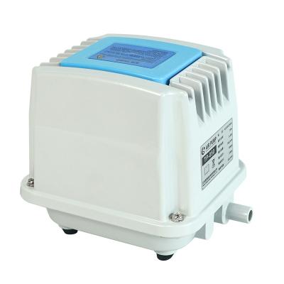 China Automotive Industry 50w TP Pump Oxygen Electromagnetic Quiet Effluent Compressor For Machining for sale