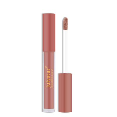 China Waterproof 6 Colors Lip Gloss Matte Lipstick Non-Stick Long Lasting Waterproof Vegan Liquid Lip Gloss for sale