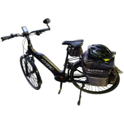 China Centrol Matt Black Carbon Electric Bike Handy Drive Motor New Product Introduction For Lady for sale