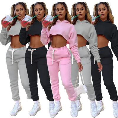 China New Arrival Solid Color Women's Clothing Set QUICK DRY Two Piece Casual Autumn Clothes Hoodie Crop Top Pants Two Piece Set for sale