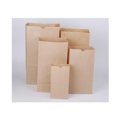 China China Wholesale Disposable Printed Biodegradable Shopping Packaging Take Away Custom Flat Kraft Paper Bags for sale