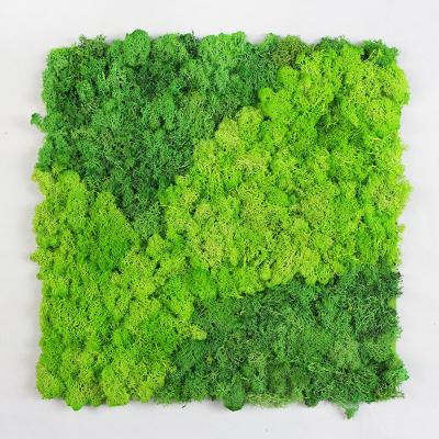 China Art Decor New Design All Season Preserved Greenery Preserved Moss Board For Wall Decoration for sale