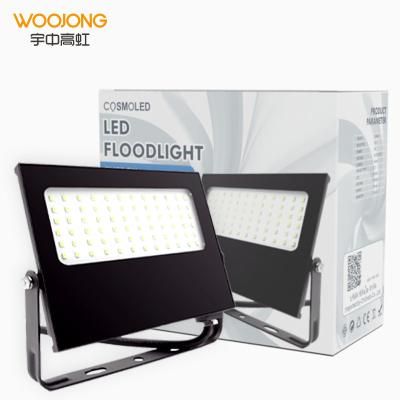 China WOOJONG China manufacturer High lumen Ip65 floodlight outdoor10W/20W/30W/100W outdoor floodlight led for sale