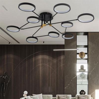 China Beautiful new design graphite iron round ceiling lights for living room bar cafe led ceiling lamp for sale