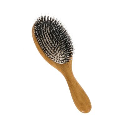 China Boar Large Oval Pad Cushion / Bristle Bear Nylon Hair Brush With Wooden Handle for sale