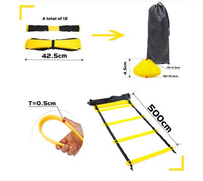 China For Football Train Sports Speed ​​And Agility Training Ladder For High Intensity Training Boxing, Football, Soccer for sale