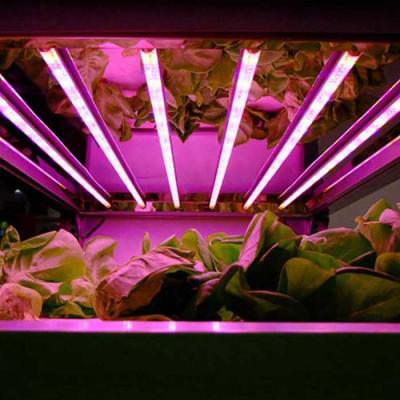 China Seed Seed Planting T8 Grow Light T8 Led 1.2m 4ft 48 Inch Planting Led Grow Light Tube USA Plug In Hydroponic LED Tube Lamp for sale