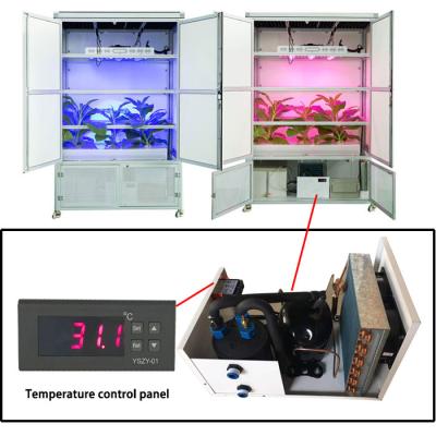 China Dimable Europe 2020 Style Green House, Factory Wholesale Grow Box Complete, Factory Indoor Grow Cabinet Grow Tent Complete Kit for sale