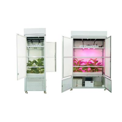 China Dimable 2020 new type aeroponics grow box hydroponics smart grow box indoor hidden hydroponics cabinet for sale