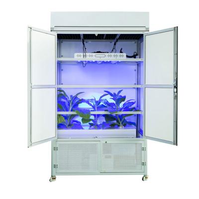 China Dimable 2020 new type hydroponic grow system for prefab aluminum green house vegetable tomotoes medicinal plants agricultural for sale