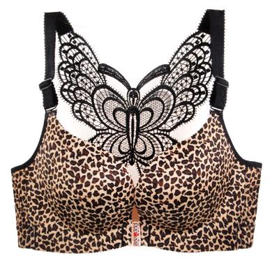 China Suntoday Dropshipping Beauty Seamless Leopard Back Lace Push Up Women Plus Size Bra for sale