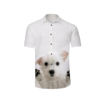 China New Summer Casual Short Sleeved Men's Shirts Anti-shrinkage With Various Style Elements And Patterns for sale