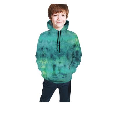 China Anti-pilling children's clothing 3D hooded a large selection of beautiful floral patterns for boys hoodies for sale