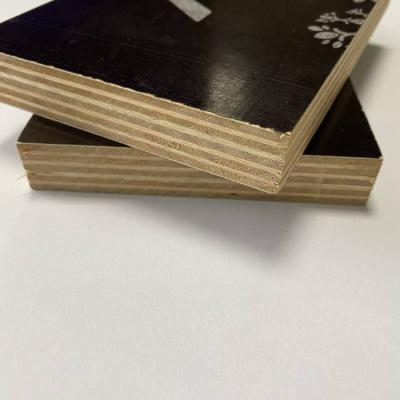 China Modern Factory Build 18mm Construction Direct Sheet Film Faced Plywood for sale