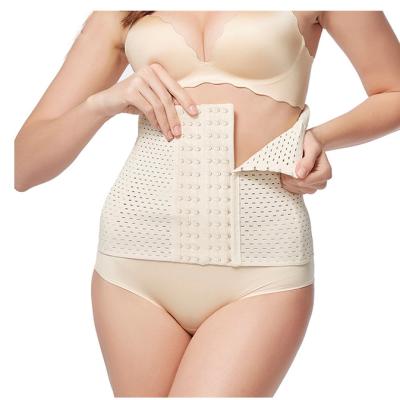 China 2019 high quality antibacterial sexy waist cincher 6 line hooks women waist trainers wholesale for sale