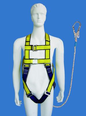 China Safety harness and lifting slings,Model BH-08,Polyester material,Strength 22KN for sale