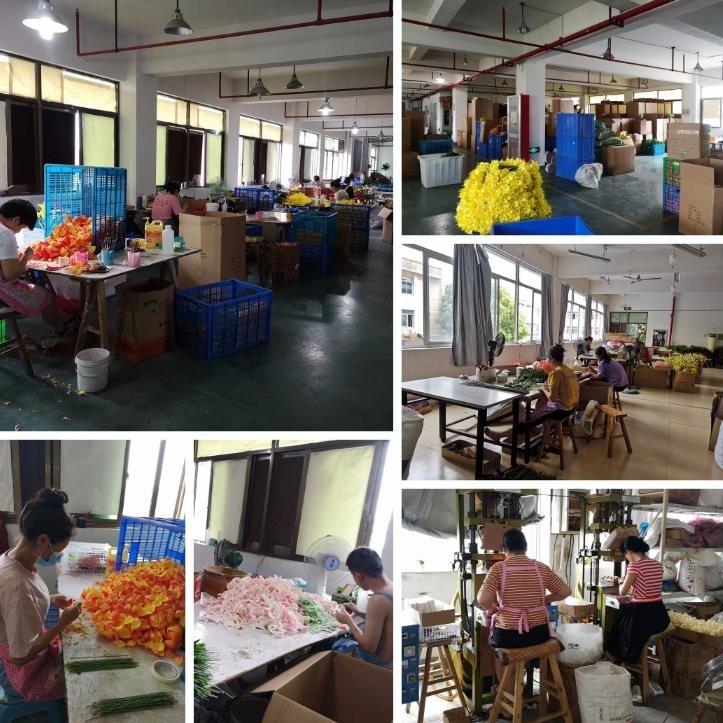 Verified China supplier - Xiamen Everong Gemo Industry & Trade Co., Ltd.