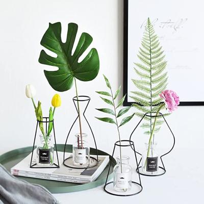 China Natural Flower Home Decoration Dried Flower Leaf Mitsuba Dried Plant Fern Leaf Wedding Party Store Hotel Real for sale