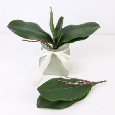 China Single High Level Good Price Leaf Orchid Flower Stem Real Touch Orchid Leaves For Decorative Flowers for sale