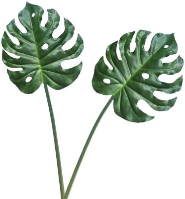 China Wedding Party Factory Wholesale Artificial Turtle Back Leaf Leaves Whole Plants With Anemone Leaf Home Decoration for sale