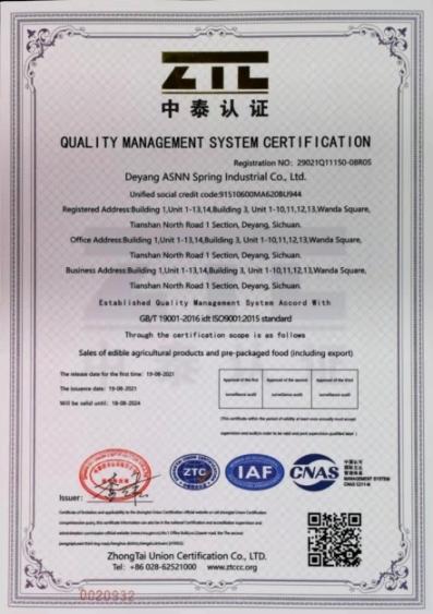 ISO9001 - Deyang Asnn Spring Industrial Co., Ltd.