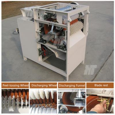 China Wet Type Peanut Peeling Machine Soybean Almond Blanching Machine Almond Blancher for sale