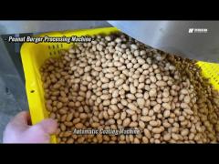 Peanut Burger Processing Machine Bean Peanut Coating Machine  Automatic Coated Peanut Making Machine