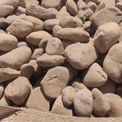 China Wholesale Fine Or Bigger River Rock Landscaping Large Round River Rock Stones Large Natural Garden River Stone for sale