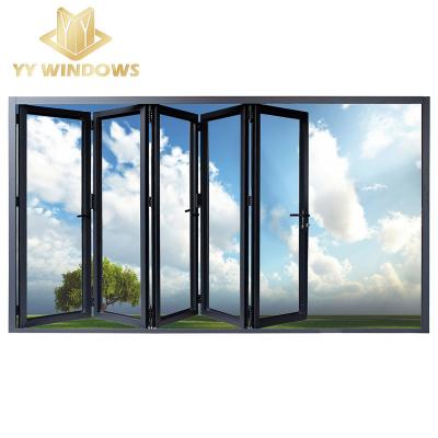 China Heat insulation YY home AS2047 standard aluminum bi folding lowes glass storm doors for sale