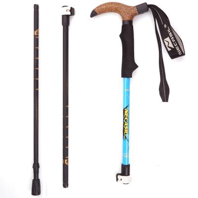 China Trekking Telescopic Foldable Telescopic Poles Cane Poles Adjustable Competition Canes Nordic Carbon Carbon Folding for sale