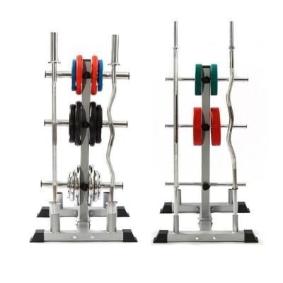 China Large Hole Eco-friendly Manufacturer Gym Cast Iron Equipment Weight Plate Weight Dish Bar Storage Tree Vertical Barbell Rack for sale