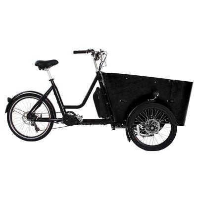 China 250w Passenger Drive Cargo Bike Mid Motorized Cargo Tricycle Non Electric Cargo Tricycle EU Market for sale