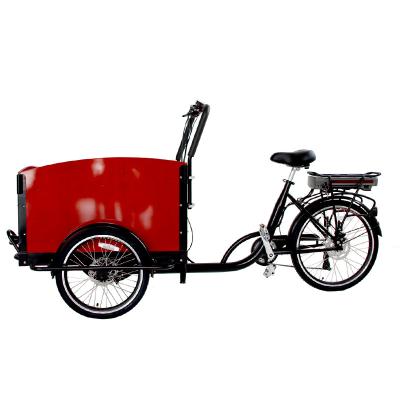 China Passenger Ruote Electric Cargo Bike 250w 36v Three Wheel Ebike For Outdoor for sale