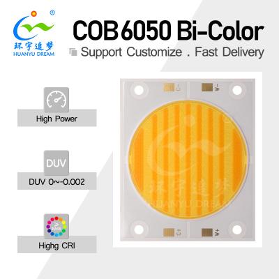 China High Lumen Output Dual Color COB LED 200W 200W 300W 300W 3838 5454 6050 Chip 2700K 6500K Ra98 For Photography Light for sale