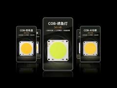 Bi Colors 60v Cob Led Chip Cri 96+ High Tlci 300w*2 For Professtional Video Photography