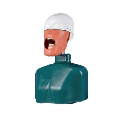 China Easy Operation Phantom Head Dental Simulation of Teaching Head Human Oral Model JG-C2 for sale