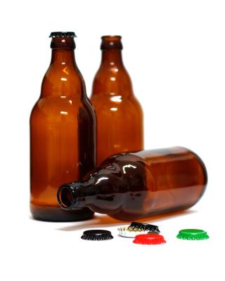 China Gift & Custom Wholesale Upscale Craft Beer Carriers Standard Size High Quality Thicken Glass Empty Beer Bottle for sale