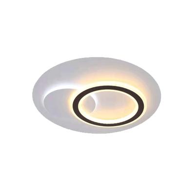 China New fashion minimalist surface modern acrylic ring around heart-shape ultra thin small ceiling lamp for sale