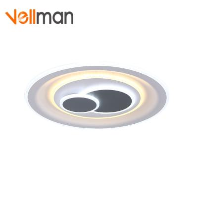 China 2021 modern minimalist fashion surface acrylic ring around ultra thin small ceiling lamp for sale