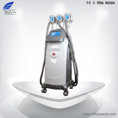 China Lofty Beauty Cryolipolysis Coolsculpting Beauty Equipment Cool-2 for sale