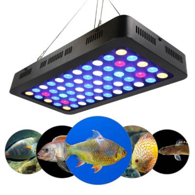 China Wholesale best multifunctional freshwater led aquarium lighting aquarium bracket aquarium lamp 2 for sale