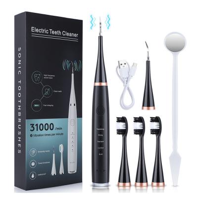 China High Frequency Electric Dental Electric Tooth Remover Calculus Scaler Calculus Remover Oral Vibration Care Kit for sale