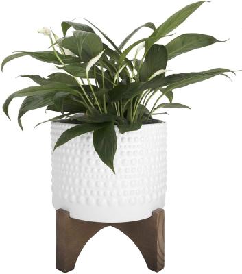 China Modern Ceramic Planter with Wood Stand - 8