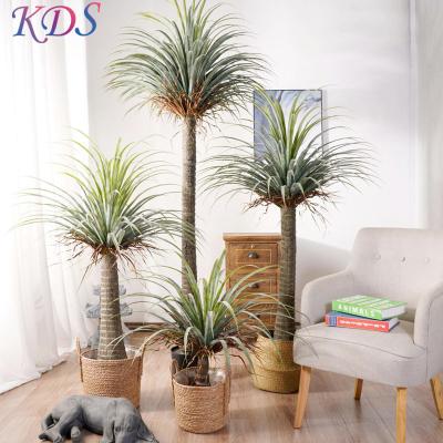 China Indoor Outdoor Artificial Garden Traveler Palm Bonsai Tree Dragon Blood Tree Decoration Potted Plant Transitional Artificial for sale