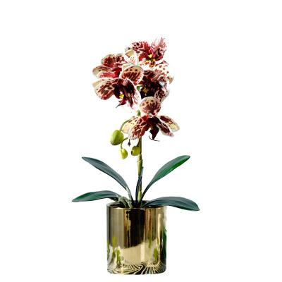 China Real Touch Latex Orchid Flower Real Touch Plantas Artificiales Decoration In Simple Pot Fake Flowers Orchids Decoration For Home for sale