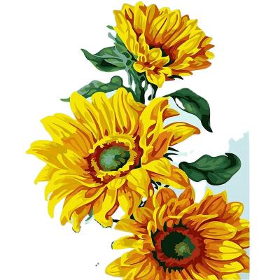 China New Design Modern Flowers Pattern Creative Gifts Wall Art DIY Painting By Numbers For Friends for sale